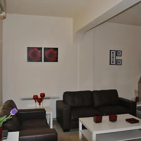 Les Palmiers City Center House شقة *